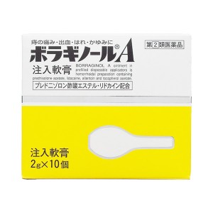 치질연고 보라기놀A [ 2g - 10개입 ]