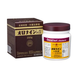 오로나인 H 상처연고 [ 250g ]