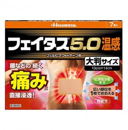 페이타스 5.0 온감 파스 대형사이즈 [ 7매입 ]