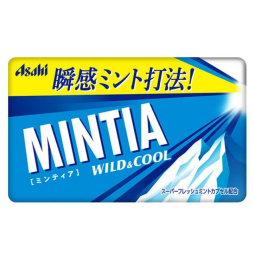 민티아 와일드&쿨 50정