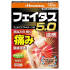 페이타스 5.0 온감 10매