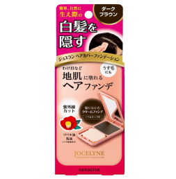 조슬란 헤어 커버 파운데이션 다크 브라운